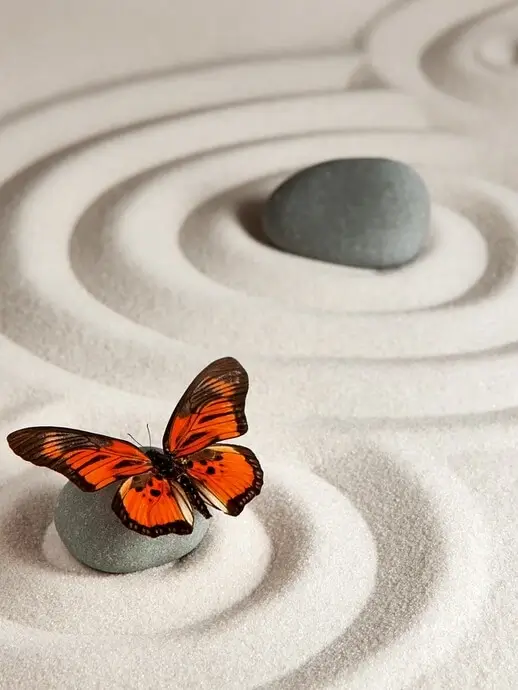 Photo zen